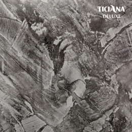 Veniera Calce - штукатурка декоративная венецианская на извести TICIANA DELUXE